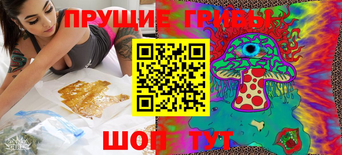 Псилоцибиновые грибы мицелий Кохма