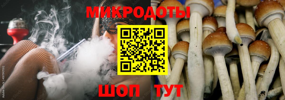 Псилоцибиновые грибы Cubensis  Псилоцибиновые грибы ЛСД  Кохма  купить наркоту  Вход с VPN 